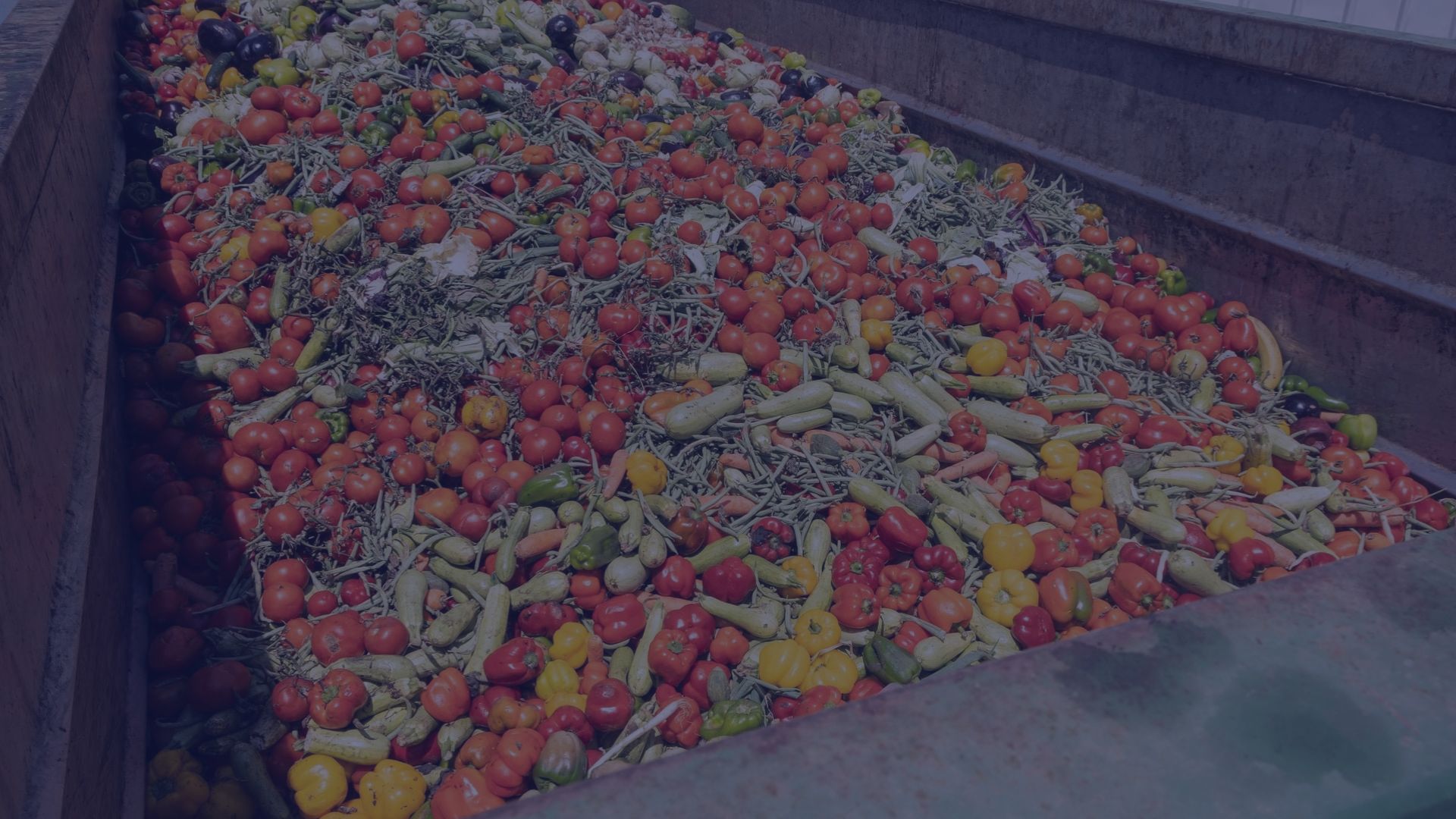 Food Waste in the Industry: How to Reduce It